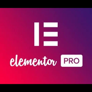 elementor-pro