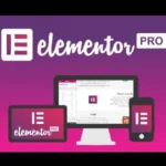 elementor-pro