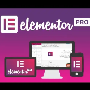 elementor-pro